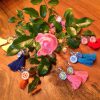 Chakra Schmuck Chakra Ohrhänger Chakra Ohrschmuck