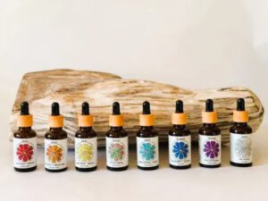 Chakra Therapie mit Chakra Essenzen