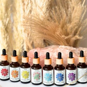 Chakra Essenz fuer die 7 Chakren